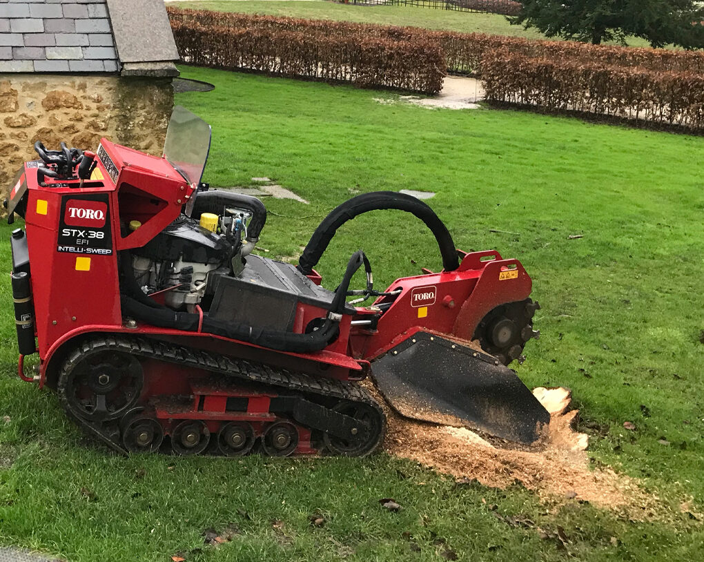 Stump grinding in Somerset